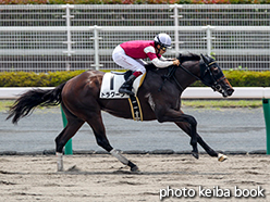 カラーパネル2015年7月12日中京3R 3歳未勝利(ドラグーン)