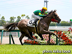 カラープリント(アルミ枠なし)2015年7月12日中京5R 2歳新馬(タガノミルキー)