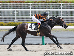 カラープリント(アルミ枠なし)2015年7月12日中京7R 3歳未勝利(キタサンコンサート)