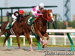 カラープリント(アルミ枠なし)2015年7月12日中京11R プロキオンステークス(ベストウォーリア)