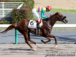 カラープリント(アルミ枠付き)2015年7月12日中京12R 3歳上500万下(ヒルノデンハーグ)