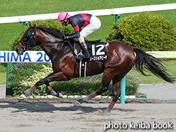 カラープリント(アルミ枠なし)2015年7月12日福島10R 天の川賞(ノースショアビーチ)