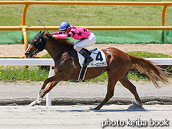 カラープリント(アルミ枠なし)2015年7月12日函館3R 3歳未勝利(ティーエスカクタス)