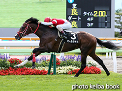 カラープリント(アルミ枠付き)2015年7月12日函館10R 八雲特別(オールステイ)