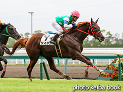 カラープリント(アルミ枠なし)2015年7月18日中京1R 障害オープン(タイタン)