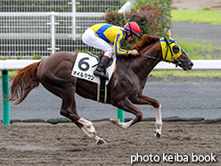 カラーパネル2015年7月18日中京3R 3歳未勝利(オイルタウン)