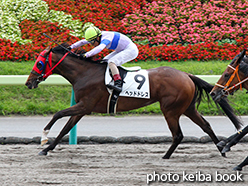 カラーパネル2015年7月18日福島2R 3歳未勝利(ヘッドドレス)