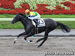 カラーパネル2015年7月18日福島8R 3歳上500万下(サクセスラディウス)