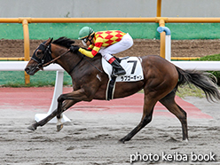 カラープリント(アルミ枠なし)2015年7月18日函館1R 2歳未勝利(ラブゴーギャン)