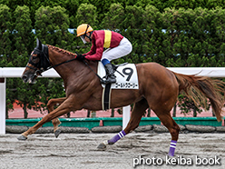 カラープリント(アルミ枠なし)2015年7月18日函館2R 3歳未勝利(ゴールドグローリー)