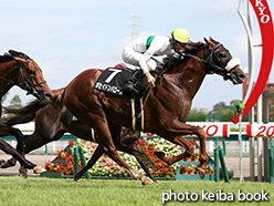 カラープリント(アルミ枠付き)2015年7月19日中京10R シンガポールターフクラブ賞(ポセイドンバローズ)