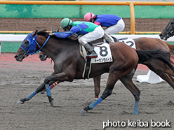 カラープリント(アルミ枠付き)2015年7月19日函館3R 3歳未勝利(トーセンモバイル)