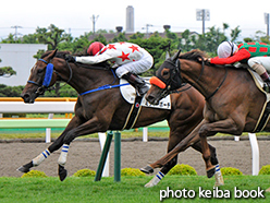 カラーパネル2015年7月19日函館4R 3歳未勝利(ミッキーポーチ)