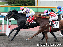 カラープリント(アルミ枠付き)2015年7月25日函館3R 3歳未勝利(セイウンアワード)