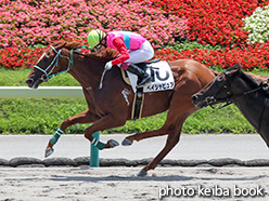 カラーパネル2015年7月26日福島3R 3歳未勝利(ペイシャピュア)