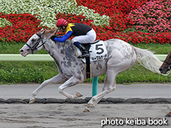 カラープリント(アルミ枠なし)2015年7月26日福島8R 3歳上500万下(マーブルケーキ)