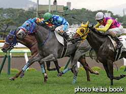 カラーパネル2015年7月26日函館1R 2歳未勝利(スノードリーム)