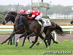 カラープリント(アルミ枠なし)2015年7月26日函館4R 3歳未勝利(レッドサバス)