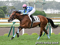 カラープリント(アルミ枠なし)2015年7月26日函館5R 2歳新馬(アフターダーク)