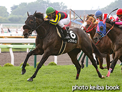 カラープリント(アルミ枠なし)2015年7月26日函館10R 松前特別(レイヌドネージュ)