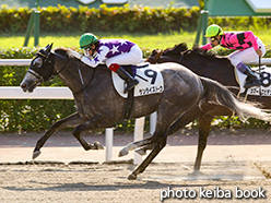 カラーパネル2015年8月1日小倉12R 3歳上500万下(サンライズトーク)