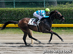 カラーパネル2015年8月1日新潟6R 3歳未勝利(ヌーナ)