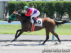 カラーパネル2015年8月1日札幌3R 3歳未勝利(セイカアヴァンサ)