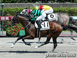 カラープリント(アルミ枠なし)2015年8月1日札幌7R 3歳上500万下(ボーンレジェンド)