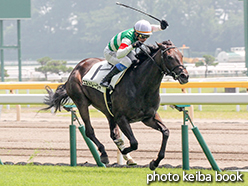 カラープリント(アルミ枠なし)2015年8月2日新潟2R 3歳未勝利(エストレージャ)