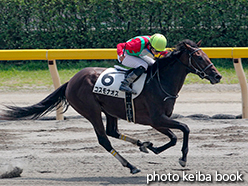 カラーパネル2015年8月2日新潟3R 3歳未勝利(コスモナオス)