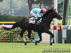 カラーパネル2015年8月2日新潟4R 障害未勝利(グラッツィア)