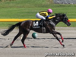 カラープリント(アルミ枠付き)2015年8月2日新潟10R 岩室温泉特別(アンナミルト)