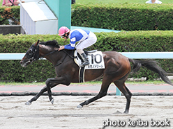 カラーパネル2015年8月2日札幌3R 3歳未勝利(カゼノドリーム)