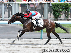 カラープリント(アルミ枠なし)2015年8月2日札幌6R 2歳新馬(エネスク)