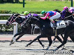 カラープリント(アルミ枠付き)2015年8月8日小倉6R 3歳未勝利(ワキノハガクレ)