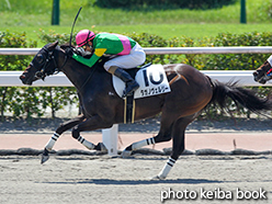 カラープリント(アルミ枠付き)2015年8月8日小倉8R 3歳上500万下(タガノヴェルリー)