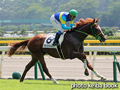 カラーパネル2015年8月8日新潟1R 2歳未勝利(プランスシャルマン)