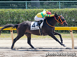 カラーパネル2015年8月8日新潟3R 3歳未勝利(レイディルアレナ)