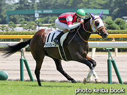 カラープリント(アルミ枠付き)2015年8月8日新潟5R 2歳新馬(ウインミレーユ)