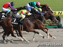 カラープリント(アルミ枠付き)2015年8月8日新潟11R 越後ステークス(マキャヴィティ)