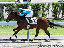 カラープリント(アルミ枠なし)2015年8月8日札幌2R 3歳未勝利(ポリアフ)