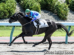 カラープリント(アルミ枠なし)2015年8月8日札幌3R 3歳未勝利(ルノンキュール)