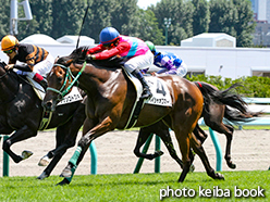 カラープリント(アルミ枠付き)2015年8月8日札幌5R 2歳新馬(ペイシャオブマーシ)