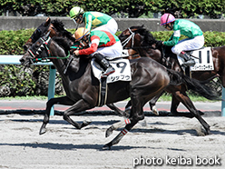 カラープリント(アルミ枠なし)2015年8月8日札幌7R 3歳上500万下(シップウ)