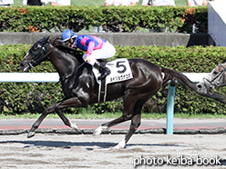 カラーパネル2015年8月8日札幌9R 3歳上500万下(メイショウナゴミ)