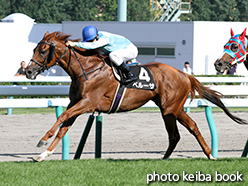 カラープリント(アルミ枠付き)2015年8月8日札幌11R 札幌日経オープン(ペルーサ)