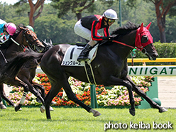 カラーパネル2015年8月9日新潟4R 3歳未勝利(シュンクルーズ)