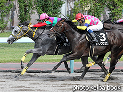 カラープリント(アルミ枠付き)2015年8月9日札幌10R 大倉山特別(ダテノハクトラ)