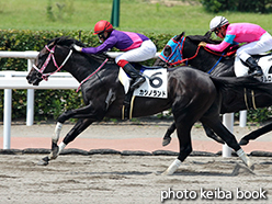 カラープリント(アルミ枠なし)2015年8月15日小倉3R 3歳未勝利(カシノランド)