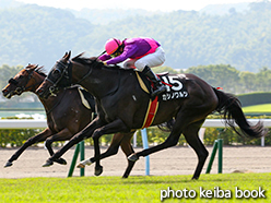 カラーパネル2015年8月15日小倉10R 宮崎特別(カシノワルツ)